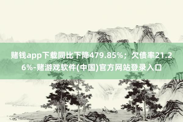 赌钱app下载同比下降479.85%；欠债率21.26%-赌游戏软件(中国)官方网站登录入口